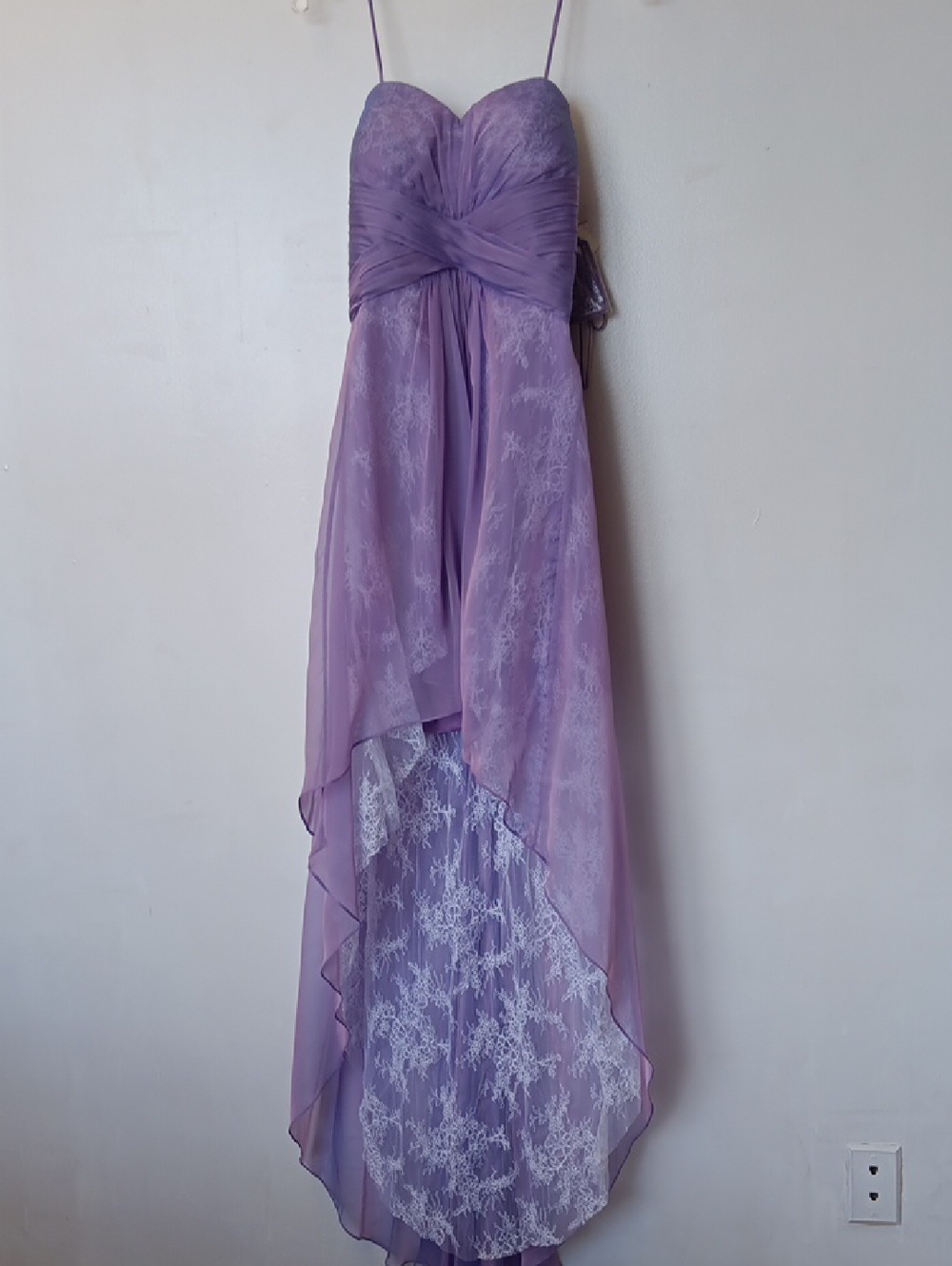 Stunning Vintage La Femme Wisteria  Strapless High-Low Lace Gown